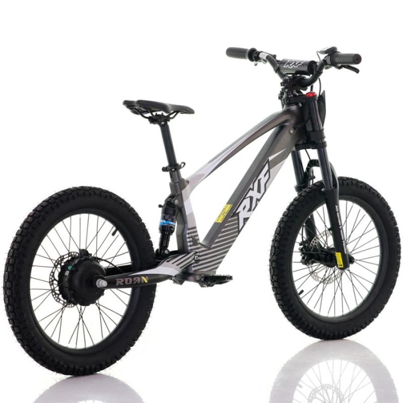 Bicicleta eléctrica sin pedales 750W 20" RXF...