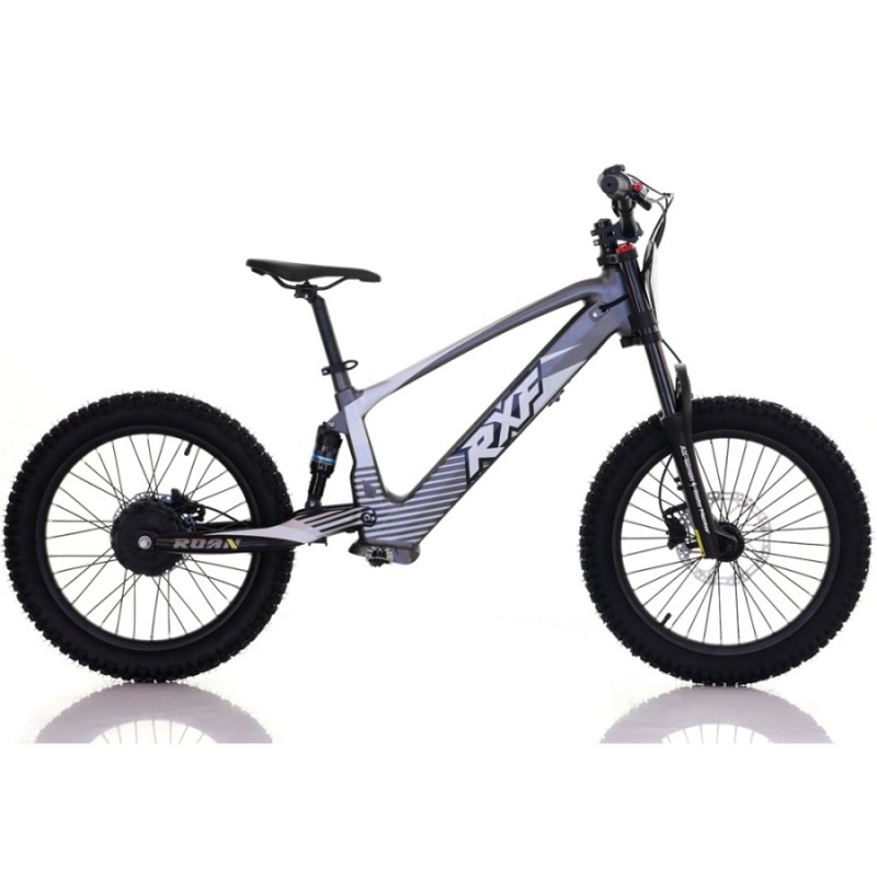 Bicicleta eléctrica sin pedales 750W 20" RXF...