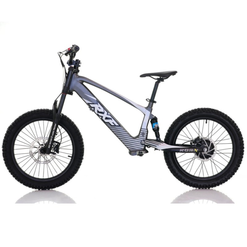 Bicicleta eléctrica sin pedales 750W 20" RXF...