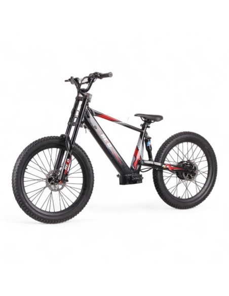 Bicicleta eléctrica REXO RX24 1500W 48V 24”