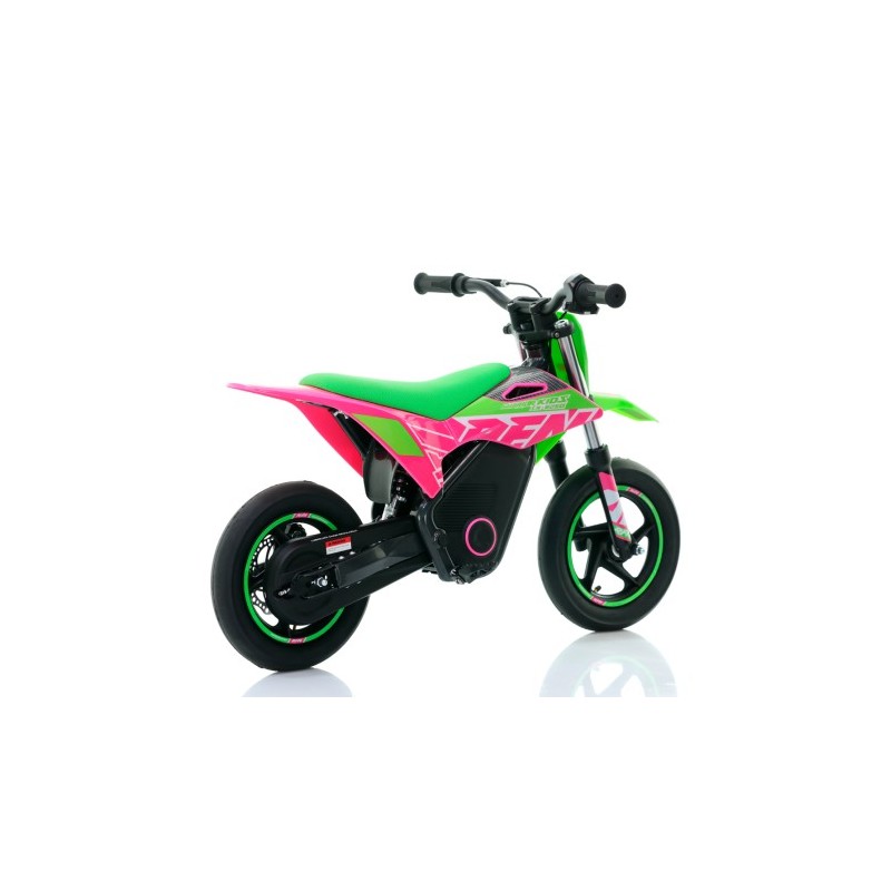 Minimoto Eléctrica RFN Warrior SX-E250...