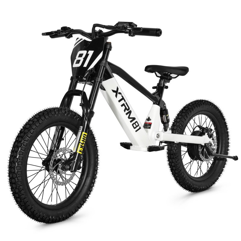 Bicicleta eléctrica sin pedales para niños 36V 500W DX 18 BLANCO