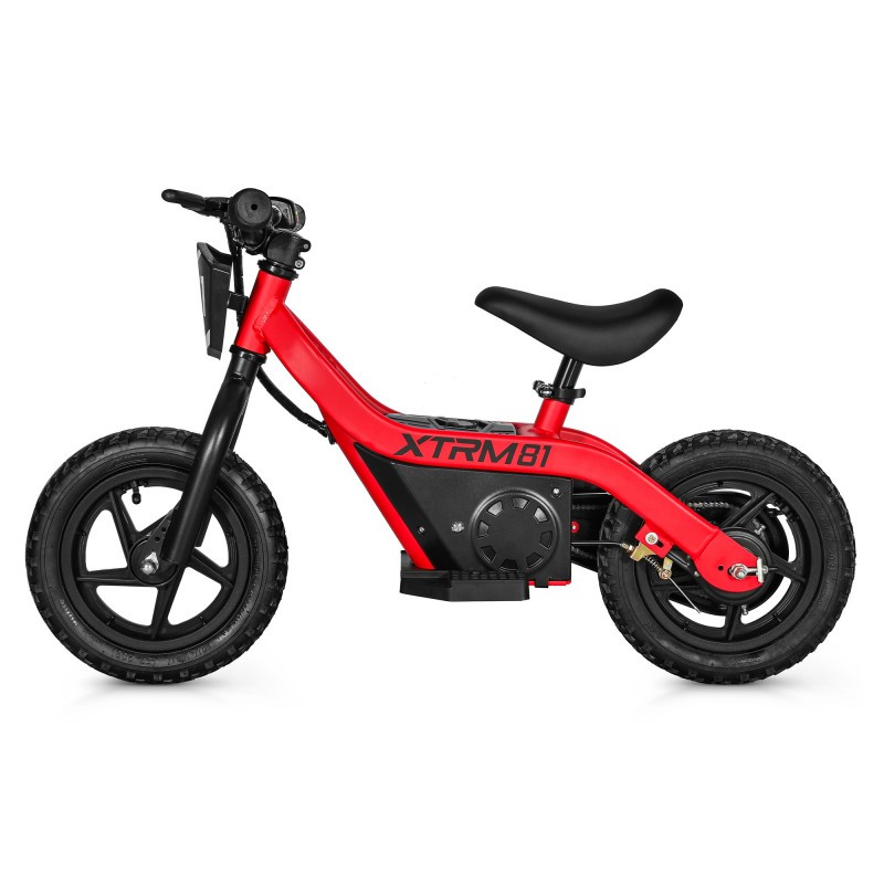 Bicicleta eléctrica sin pedales para niños 24V 100W DX 12 2