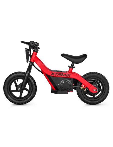 Bicicleta eléctrica sin pedales para niños 24V 100W DX 12