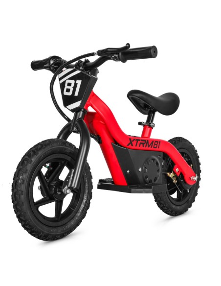 Bicicleta eléctrica sin pedales para niños 24V 100W DX 12