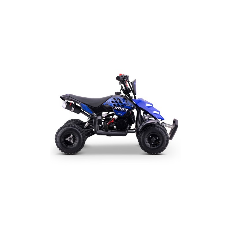 Miniquad ROAN RAPTOR 49cc (R4")