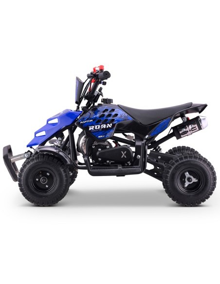 Miniquad ROAN RAPTOR 49cc (R4")