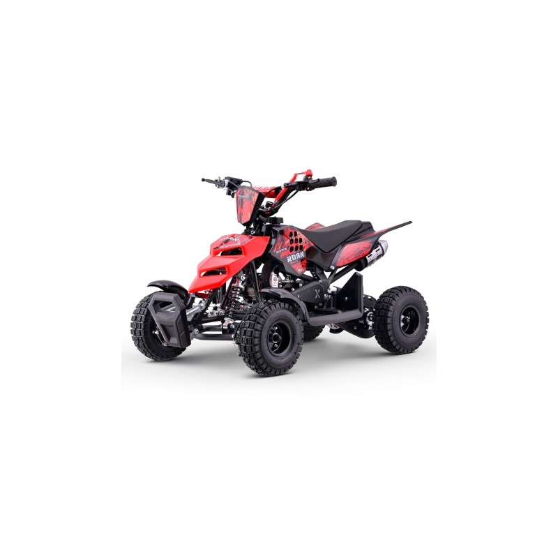 Miniquad ROAN RAPTOR 49cc (R4")