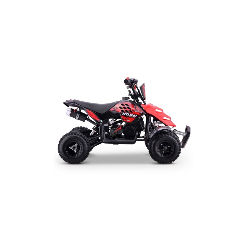 Miniquad ROAN RAPTOR 49cc (R4")