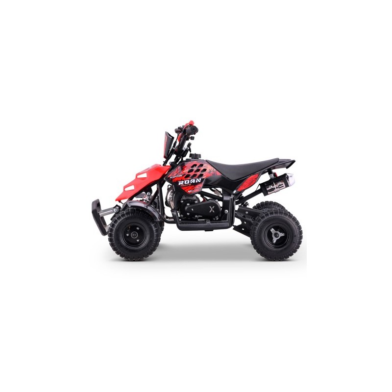 Miniquad ROAN RAPTOR 49cc (R4")