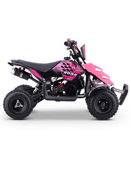 Miniquad ROAN RAPTOR 49cc (R4")