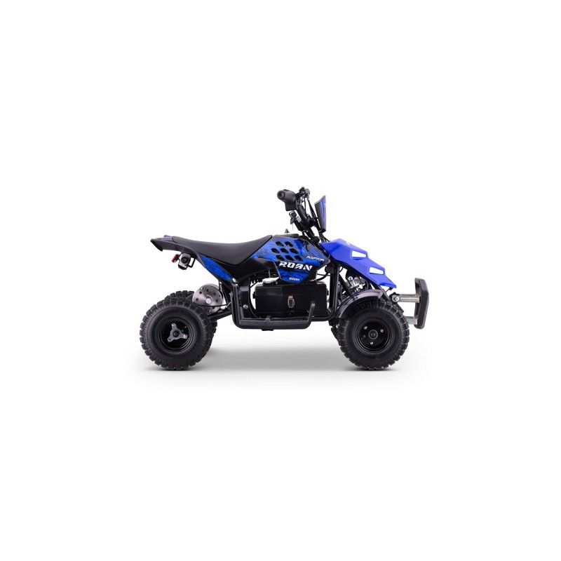 Miniquad eléctrico 500W Roan Raptor R4