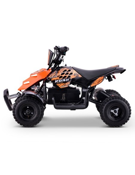 Miniquad eléctrico 500W Roan Raptor R4