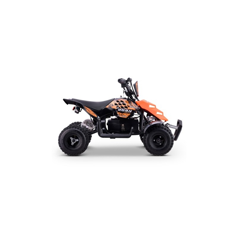 Miniquad eléctrico 500W Roan Raptor R4