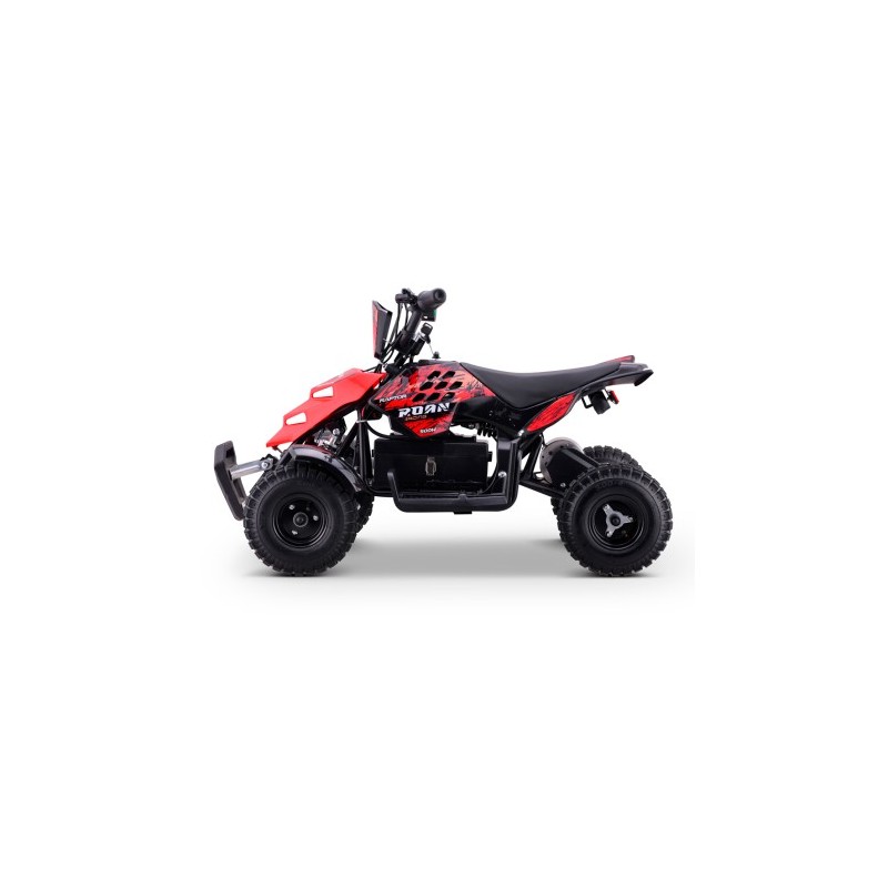 Miniquad eléctrico 500W Roan Raptor R4