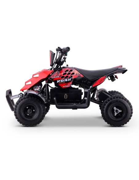 Miniquad eléctrico 500W Roan Raptor R4