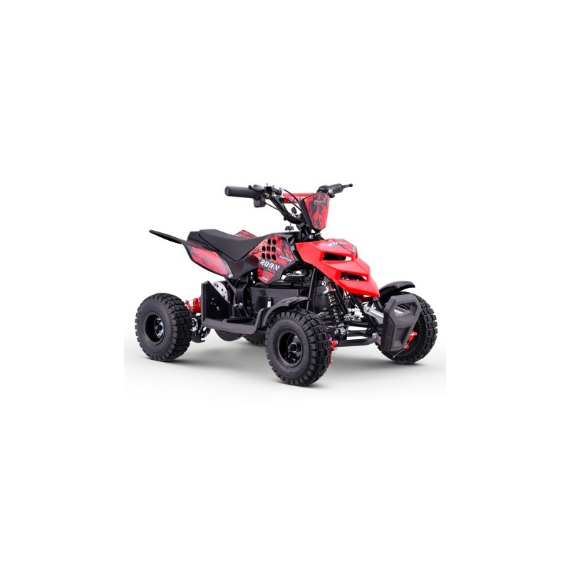 Miniquad eléctrico 500W Roan Raptor R4