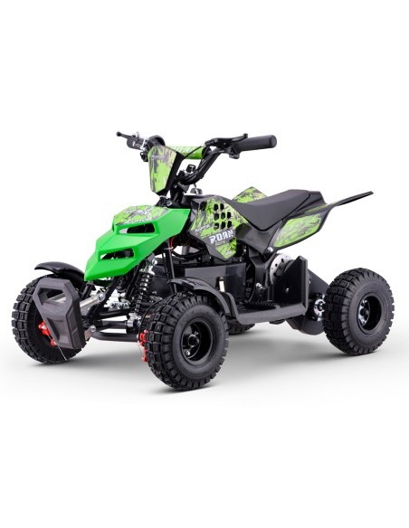 Miniquad eléctrico 500W Roan Raptor R4