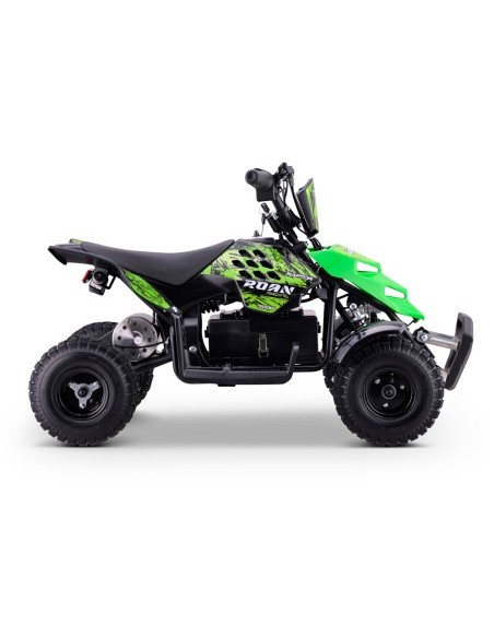 Miniquad eléctrico 500W Roan Raptor R4