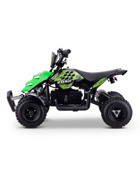 Miniquad eléctrico 500W Roan Raptor R4