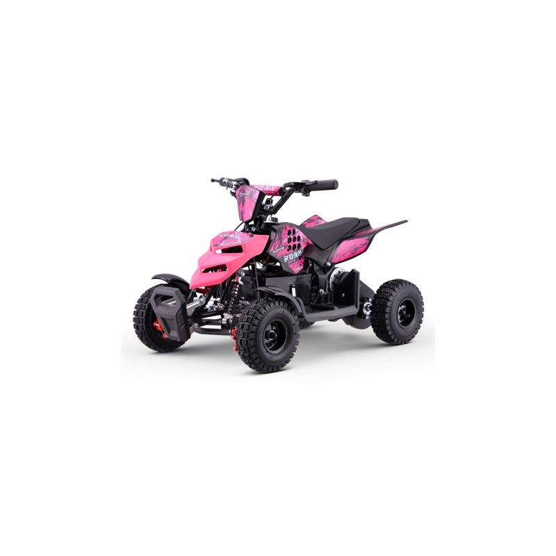 Miniquad eléctrico 500W Roan Raptor R4