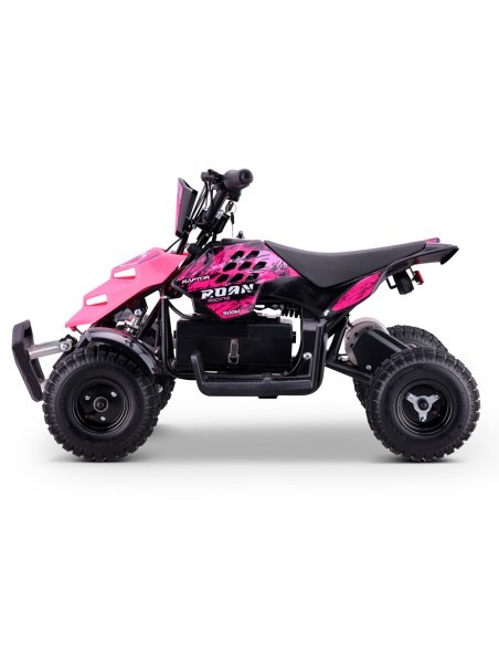Miniquad eléctrico 500W Roan Raptor R4