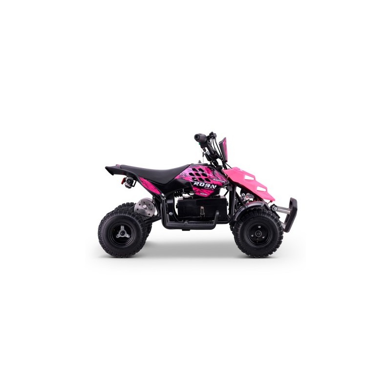 Miniquad eléctrico 500W Roan Raptor R4