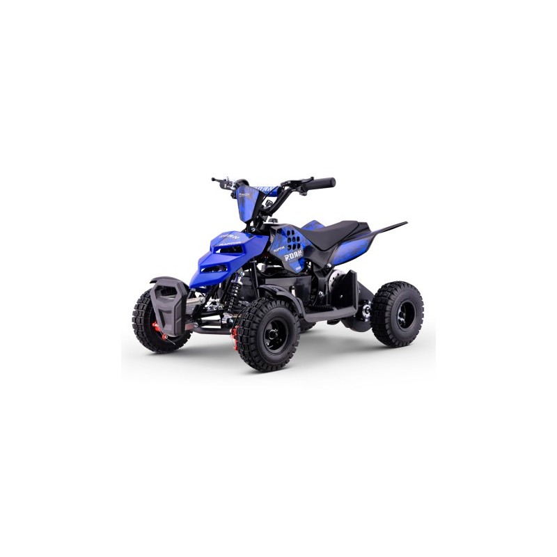 Miniquad eléctrico 500W Roan Raptor R4