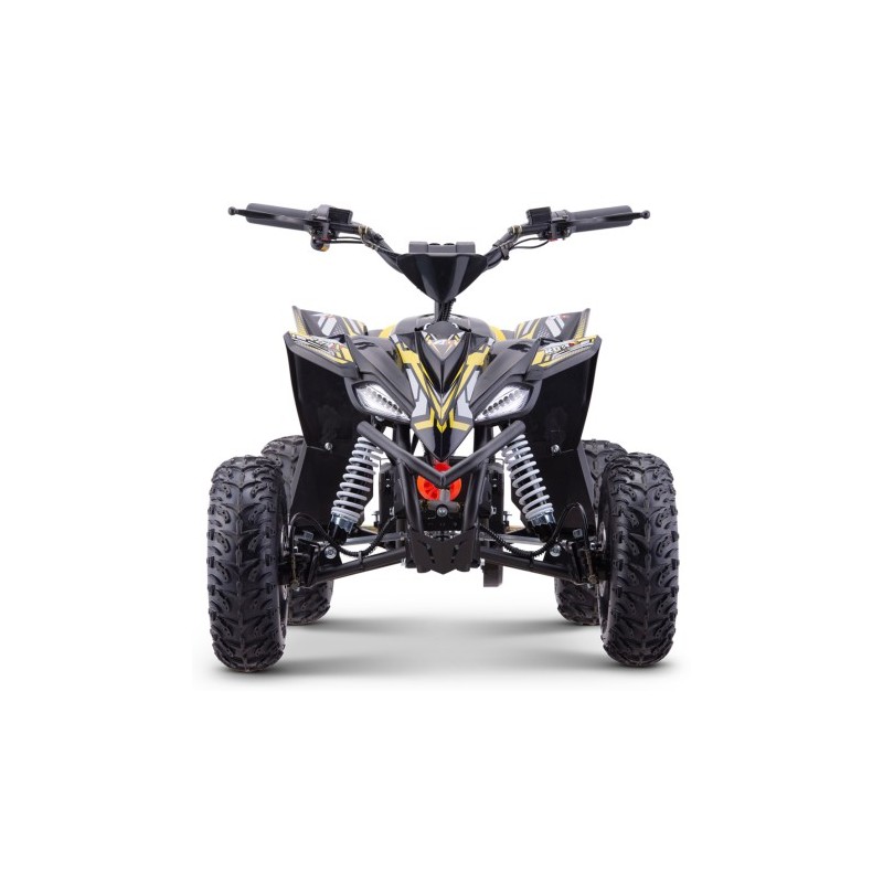 Miniquad eléctrico 1300W Roan Ratte motor...