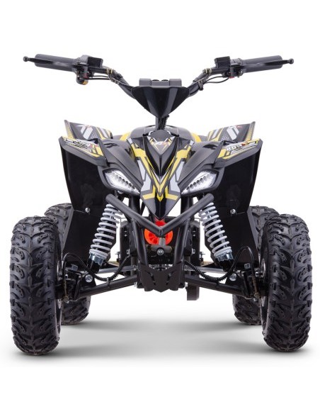 Miniquad eléctrico 1300W Roan Ratte motor brushless