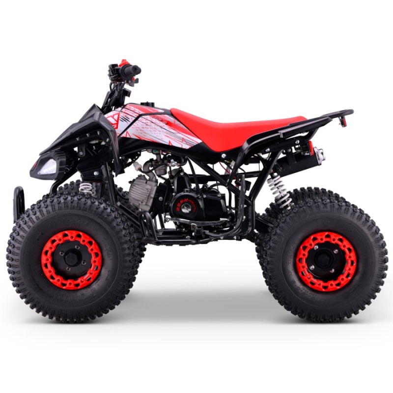 Quad 110cc Automático Roan Pantera R8