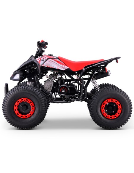 Quad 110cc Automático Roan Pantera R8