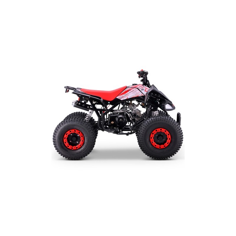Quad 110cc Automático Roan Pantera R8