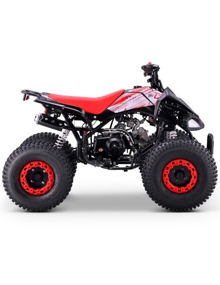 Quad 110cc Automático Roan Pantera R8