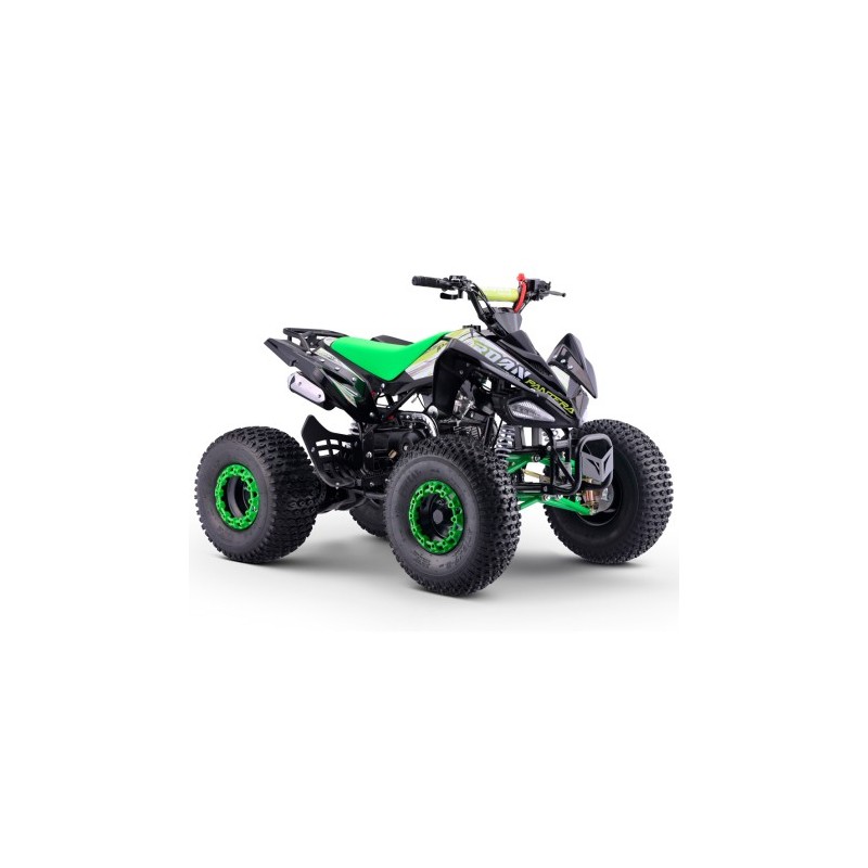 Quad 110cc Automático Roan Pantera R8