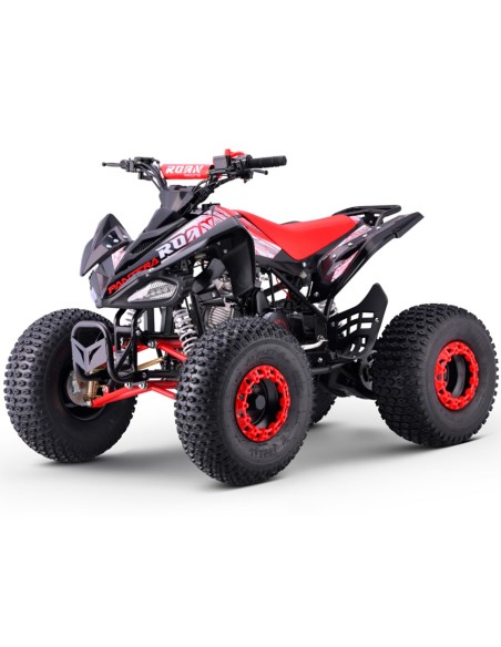 Quad 110cc Automático Roan Pantera R8