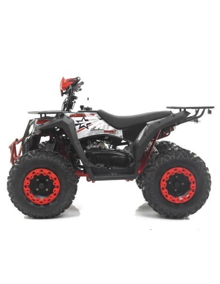 Quad automático 200cc D-N-R RFZ Commander R10