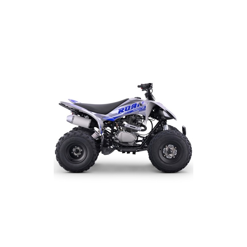 Quad 250cc Roan DAKAR manual R-1-2-3-4 R10