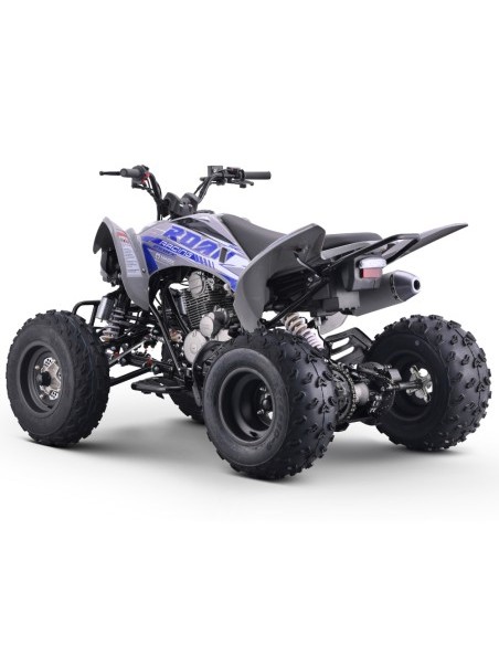 Quad 250cc Roan DAKAR manual R-1-2-3-4 R10